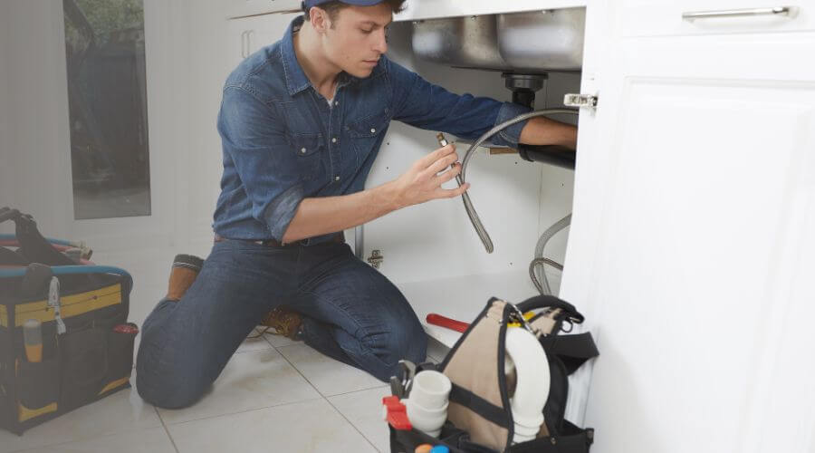 Professional Leak Detection in Tea, SD